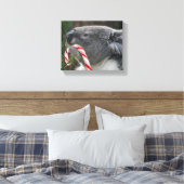 Koala kerstsnoepriet canvas afdruk (Insitu (Slaapkamer))