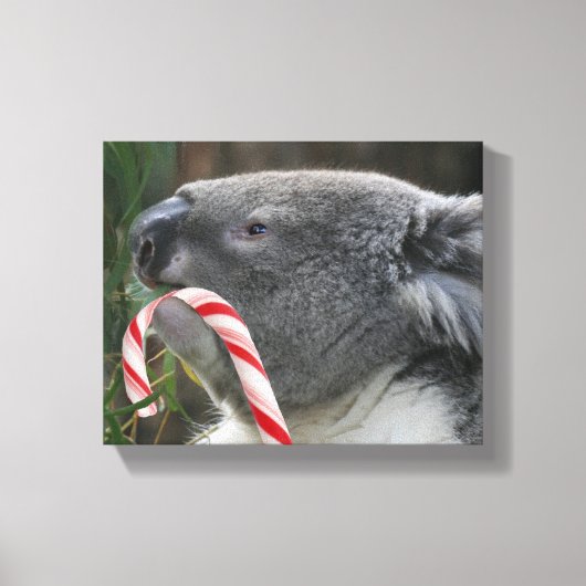 Koala kerstsnoepriet canvas afdruk (Voorkant)