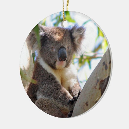 Koala Kerstversier Keramisch Ornament (Links)