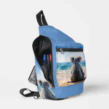 Koala kijkt naar de oceaan