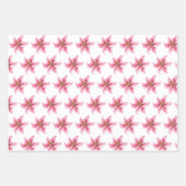 Koala Kinder velgpapier voor onmiddellijke verpakk Inpakpapier Vel (Voorkant 2)