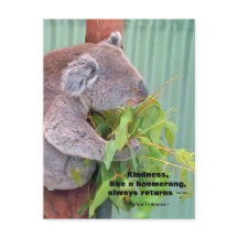 Koala Kindness Quote Briefkaart