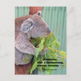 Koala Kindness Quote Briefkaart