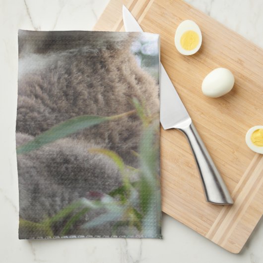 Koala Kitchen Towel Theedoek (Quarter Fold)