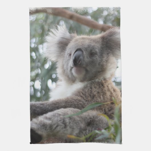Koala Kitchen Towel Theedoek (Verticaal)