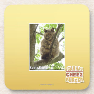 Koala Kitteh Bier Onderzetter