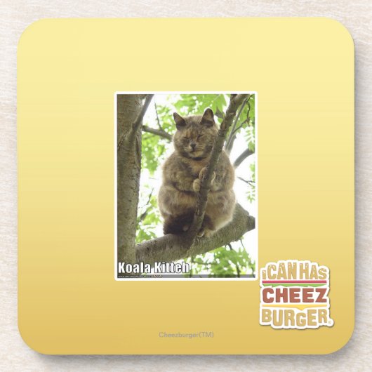 Koala Kitteh Bier Onderzetter (Voorkant)