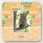 Koala Kitteh Bier Onderzetter (Voorkant)