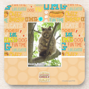 Koala Kitteh Bier Onderzetter