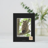 Koala Kitteh Briefkaart (Staand voorkant)