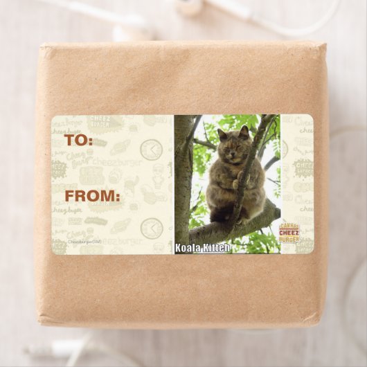 Koala Kitteh Etiket (Insitu)