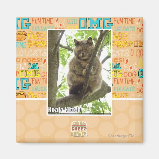 Koala Kitteh Magneet (Voorkant)