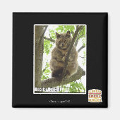 Koala Kitteh Magneet (Voorkant)