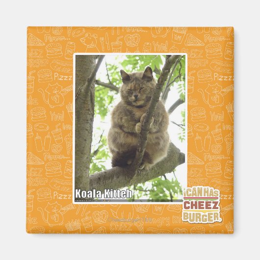 Koala Kitteh Magneet (Voorkant)
