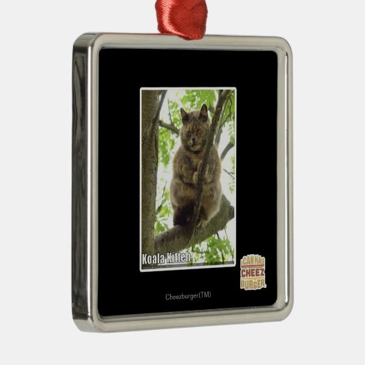 Koala Kitteh Metalen Ornament (Rechts)