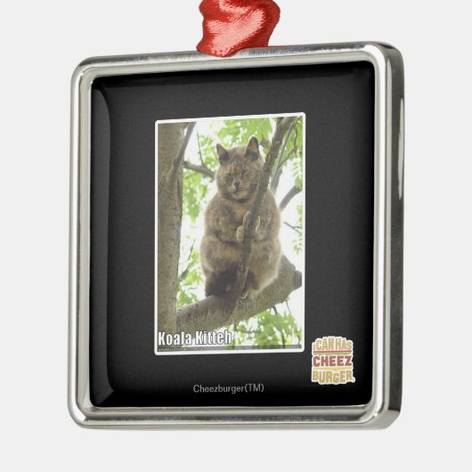 Koala Kitteh Metalen Ornament (Links)