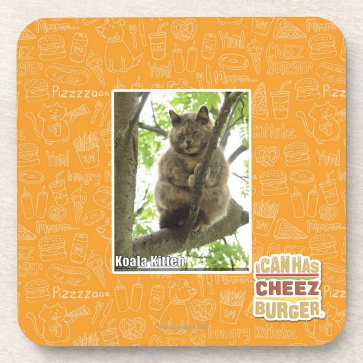 Koala Kitteh Onderzetter (Voorkant)