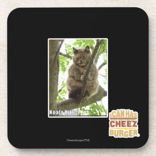 Koala Kitteh Onderzetter