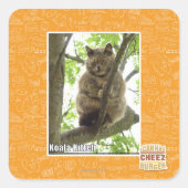Koala Kitteh Vierkante Sticker (Voorkant)