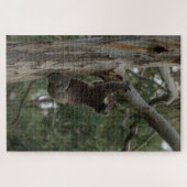 Koala Klibing Tree Australia, 1014 stuks Legpuzzel (Horizontaal)