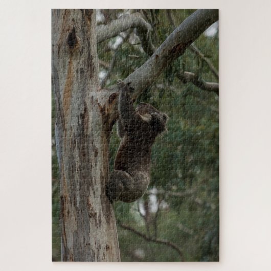 Koala Klibing Tree Australia, 1014 stuks Legpuzzel (Verticaal)