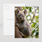 Koala Klim-boom Briefkaart (Voorkant / Achterkant)