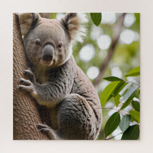 Koala Klim-boom Legpuzzel