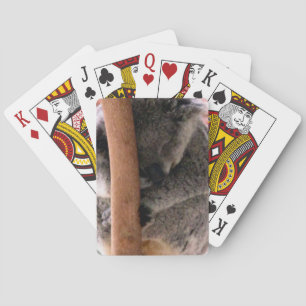 koala-knuffels pokerkaarten
