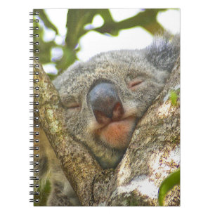Koala-laptop Notitieboek
