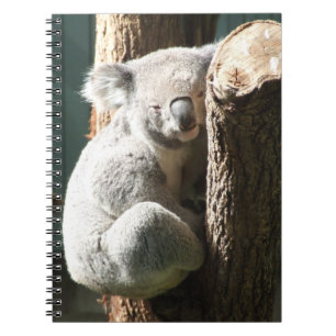 Koala-laptop Notitieboek