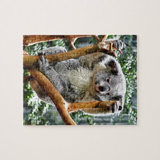 Koala Legpuzzel (Horizontaal)