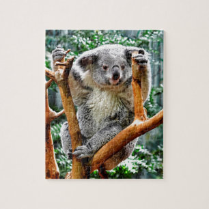 Koala Legpuzzel