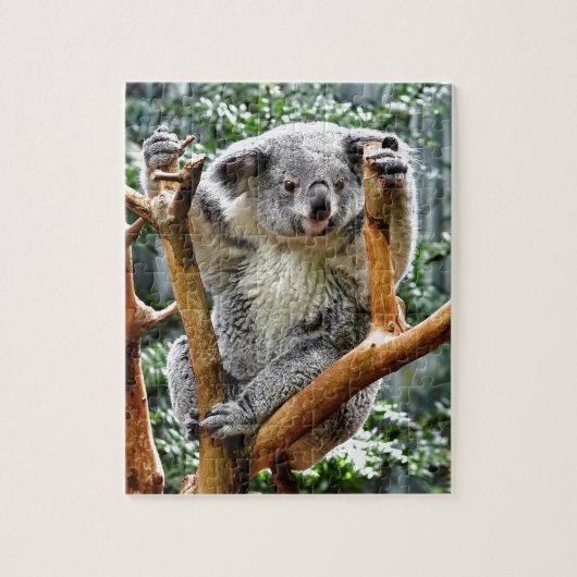 Koala Legpuzzel (Verticaal)