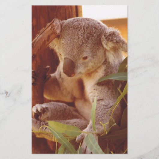 Koala-liefde Briefpapier (Voorkant)