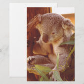Koala-liefde Briefpapier (Voorkant / Achterkant)