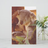 Koala-liefde Briefpapier (Staand voorkant)