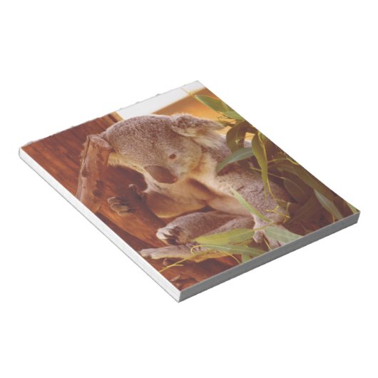 Koala-liefde Notitieblok (Schuin)