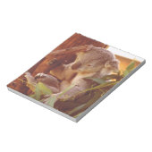 Koala-liefde Notitieblok (Linkerzijde)