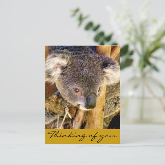 Koala Love_ Briefkaart (Staand voorkant)