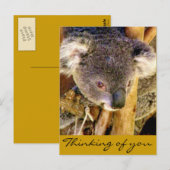 Koala Love_ Briefkaart (Voorkant / Achterkant)