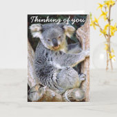 Koala Love_ Kaart (Gele Bloem)