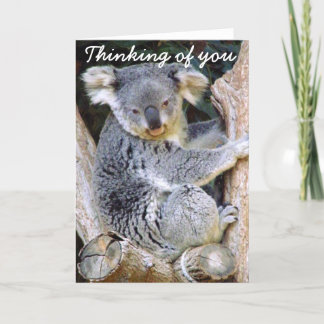 Koala Love_ Kaart