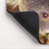 Koala Love_ Muismat (Hoek)