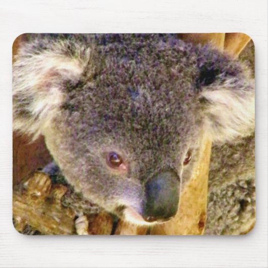 Koala Love_ Muismat (Voorkant)