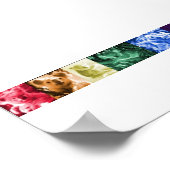 Koala Love Poster (Hoek)