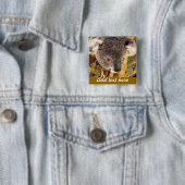 Koala Love_ Vierkante Button 5,1 Cm (In situ)