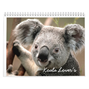 Koala Lover's kalender