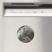 Koala Magneet (Insitu (Vaatwasser))