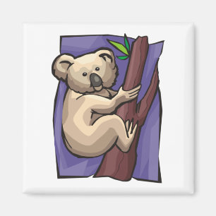 Koala Magneet