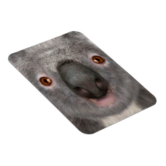 Koala Magneet (Rechterzijde)